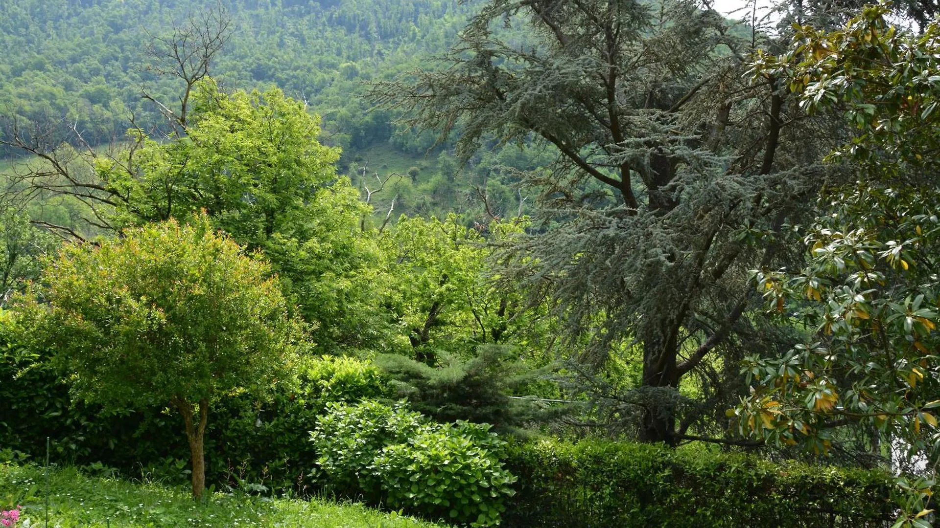 Villa Carla Affiliato Best-Incoming Cir-016235-Cni-00004 Viadanica